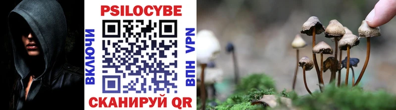 купить цена кракен зеркало Галлюциногенные грибы Psilocybine cubensis Каневская